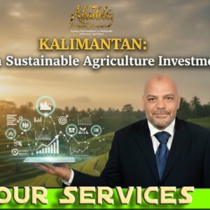 Kalimantan-Sustainable-Agriculture-Investment-Guide.jpg