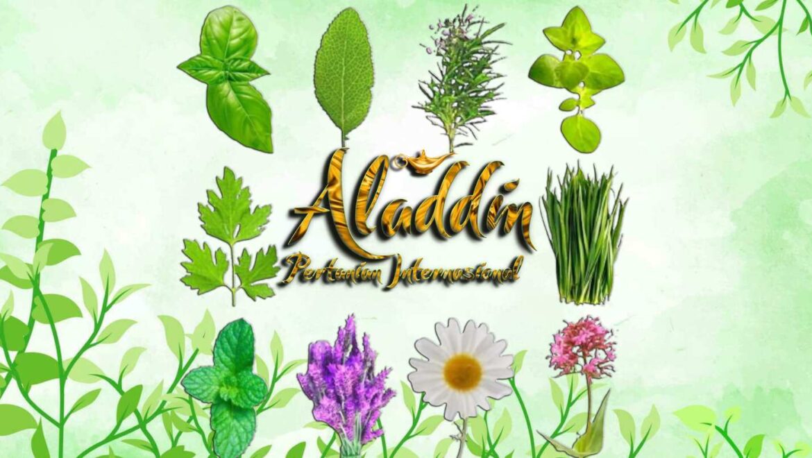 Investment Opportunity: The Medicinal and Aromatic Plants Sector