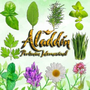 The-Medicinal-and-Aromatic-Plants.jpg