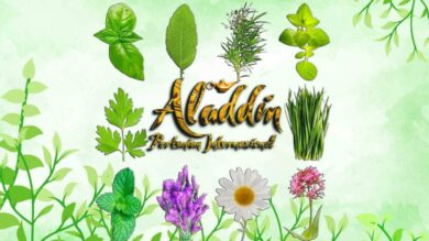 Investment Opportunity: The Medicinal and Aromatic Plants Sector