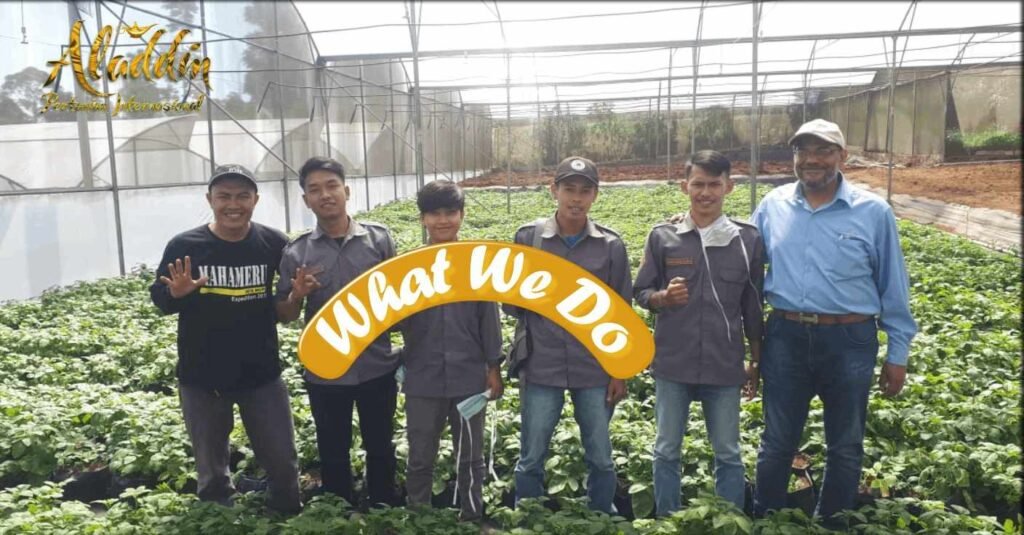 What We Do