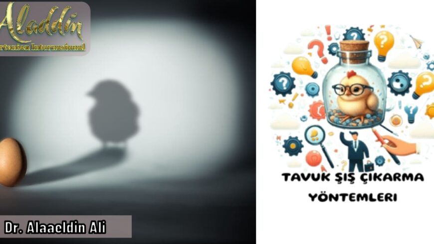 Tavuğu şişeye kim koydu