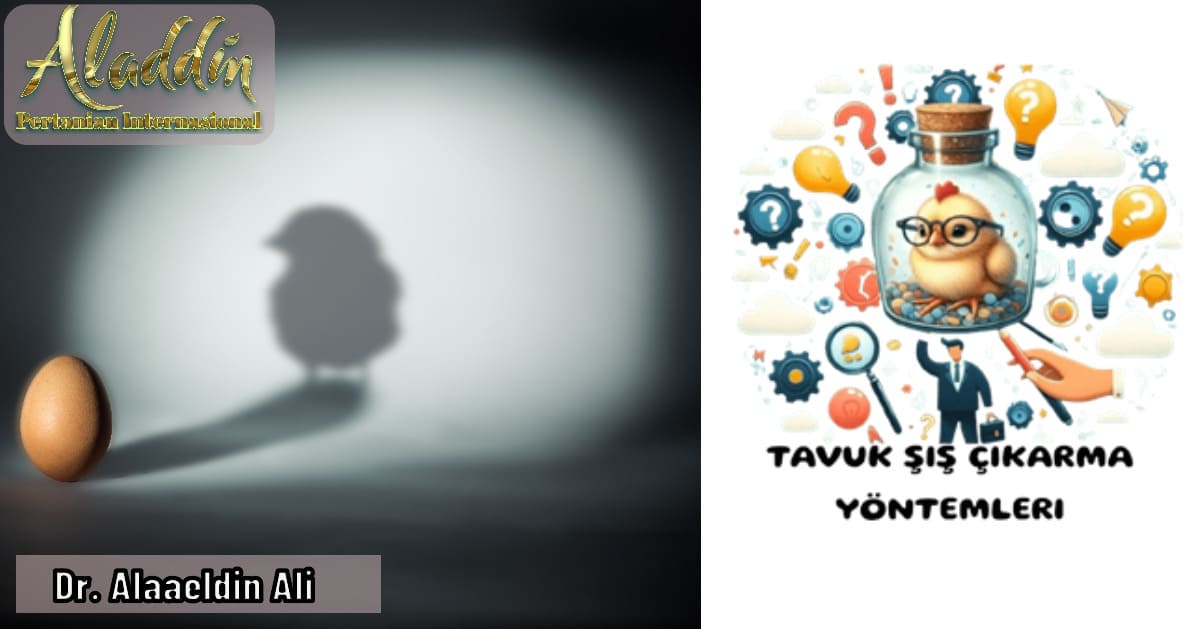 Tavuğu şişeye kim koydu