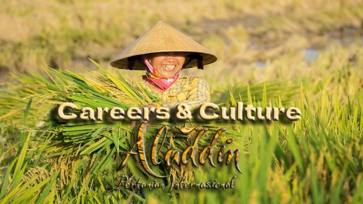 Careers & Culture